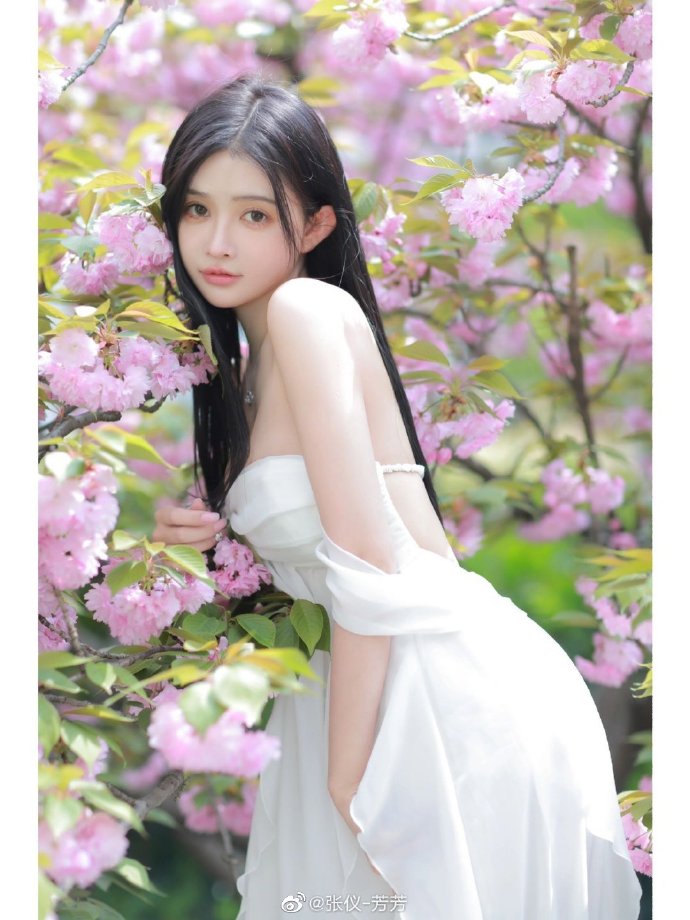 大江大河